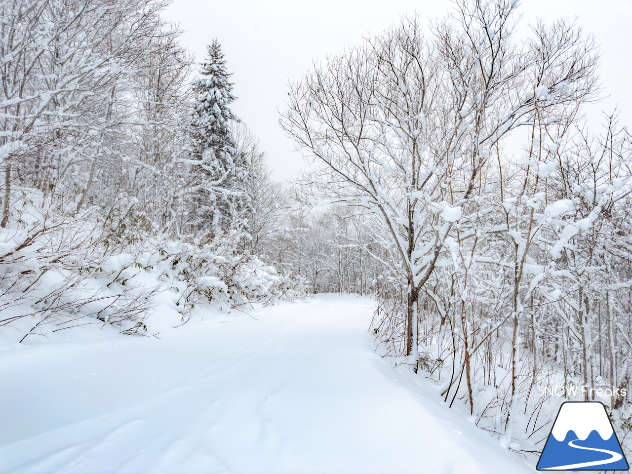 音威富士スキー場｜気が付けばナイター照明が灯り、夕暮れ滑走。プライベート感覚で滑れる道北のローカルゲレンデ！